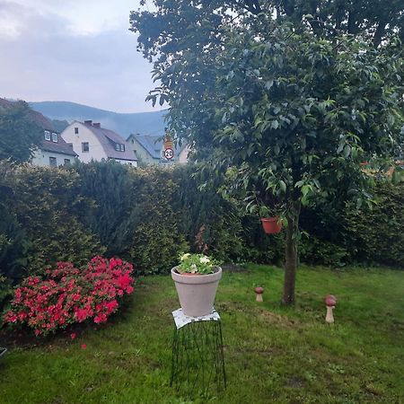 Jugów Pod Debem 아파트 외부 사진
